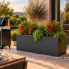 HORTUS 120x60x50